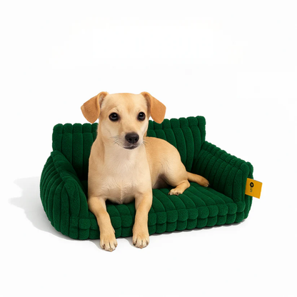 DreamNest Orthopedic Pet Bed - Square Plush