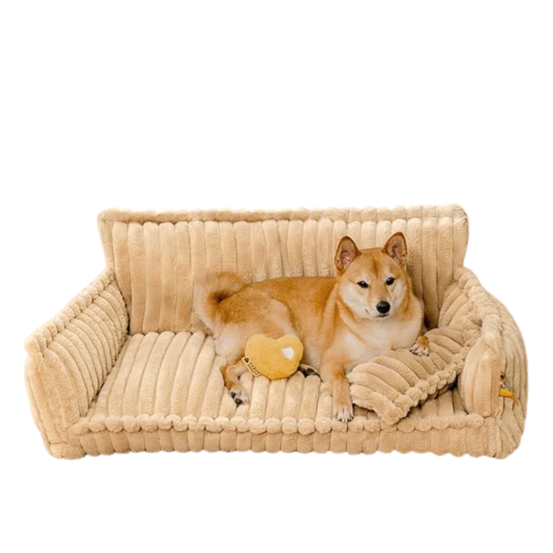 DreamNest Orthopedic Pet Bed - Square Plush