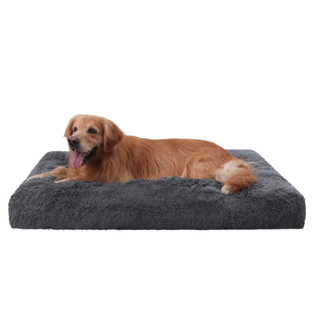 DreamNest Orthopedic Pet Bed in Dark Gray inside a wire crate