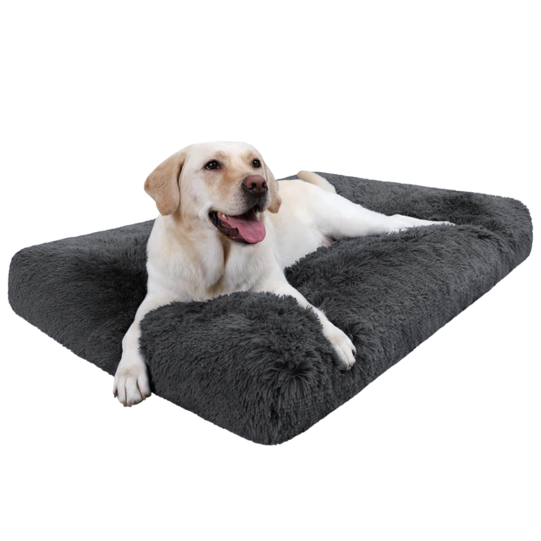 Dog lying on DreamNest Orthopedic Pet Bed in Dark Gray