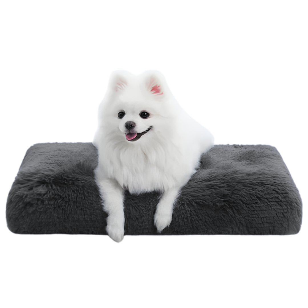 DreamNest Orthopedic Pet Bed in Dark Gray with dog resting on top