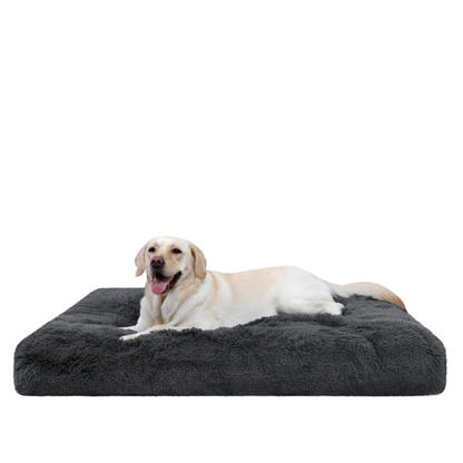Large dog stretched out on DreamNest Orthopedic Pet Bed in Dark Gray