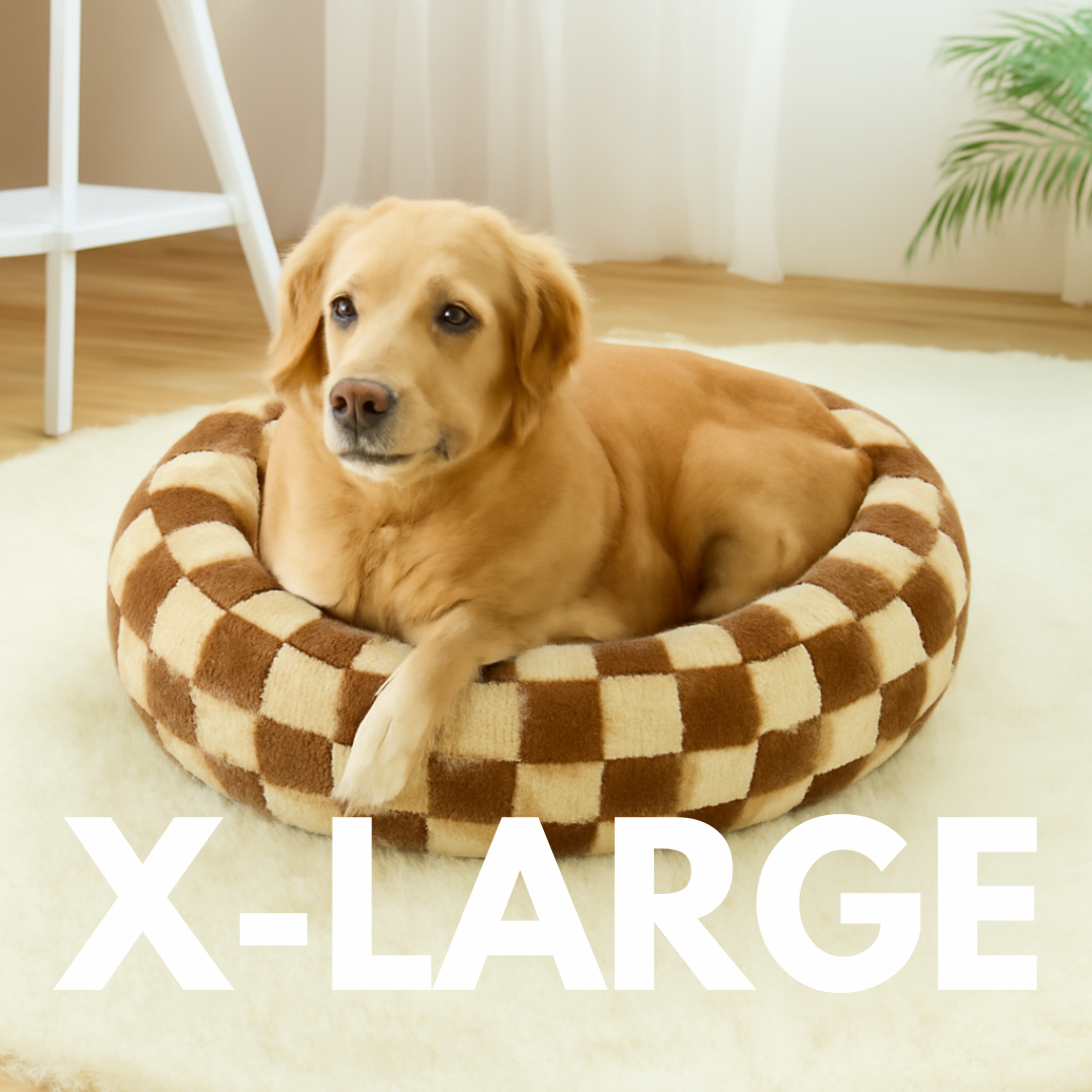 Cozy Calming Donut Pet Bed
